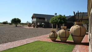 A building with a paved driveway and a lawn area. - Almar Exclusive Game Ranch (Bloemhof)