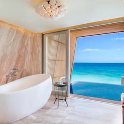 Separate tub and shower, deep soaking tub, rainfall showerhead