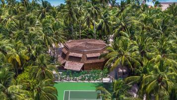 A tennis court surrounded by palm trees, with a beach and ocean in the background.