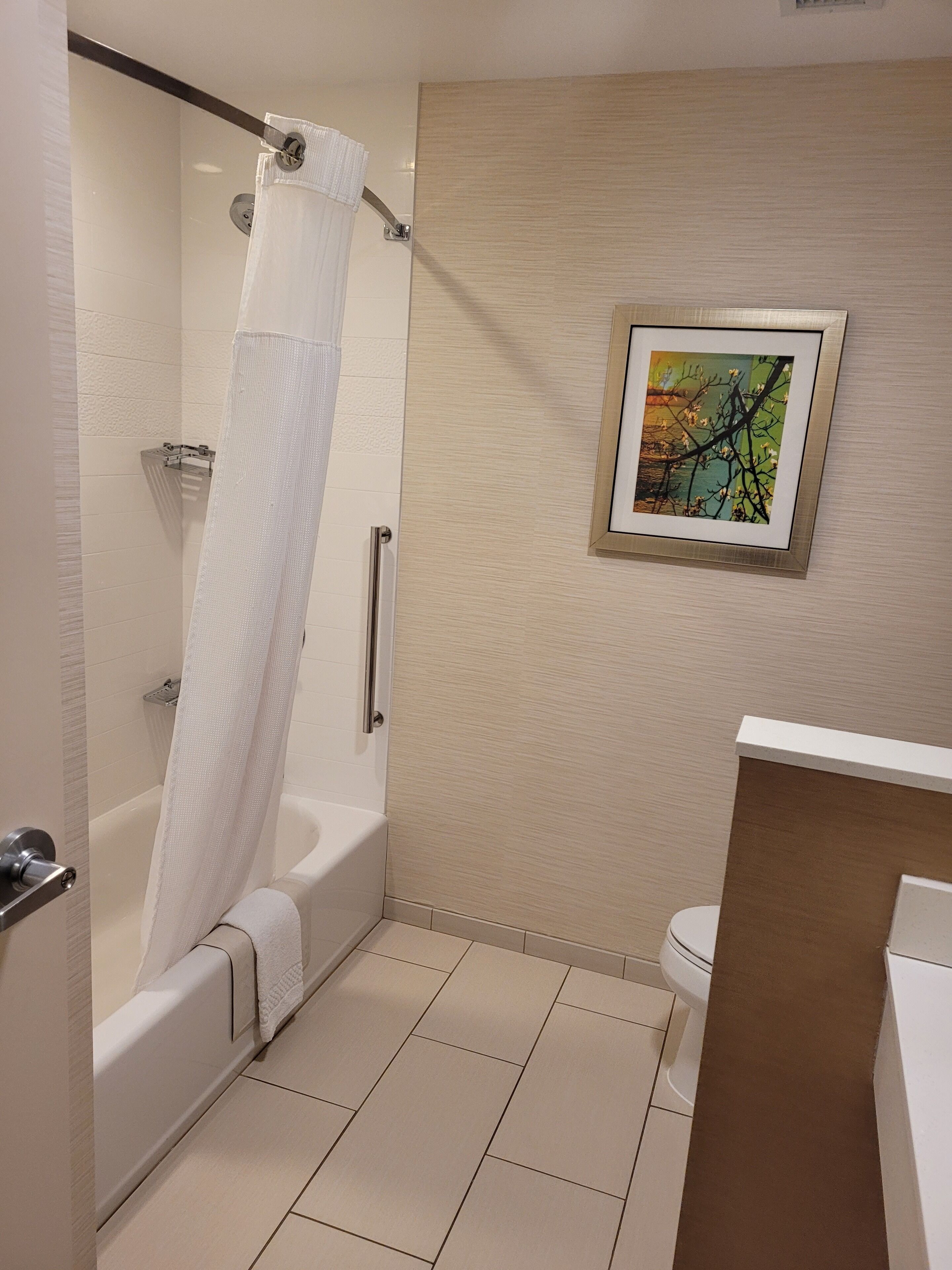 A bathroom with a bathtub, toilet, and a framed picture on the wall.