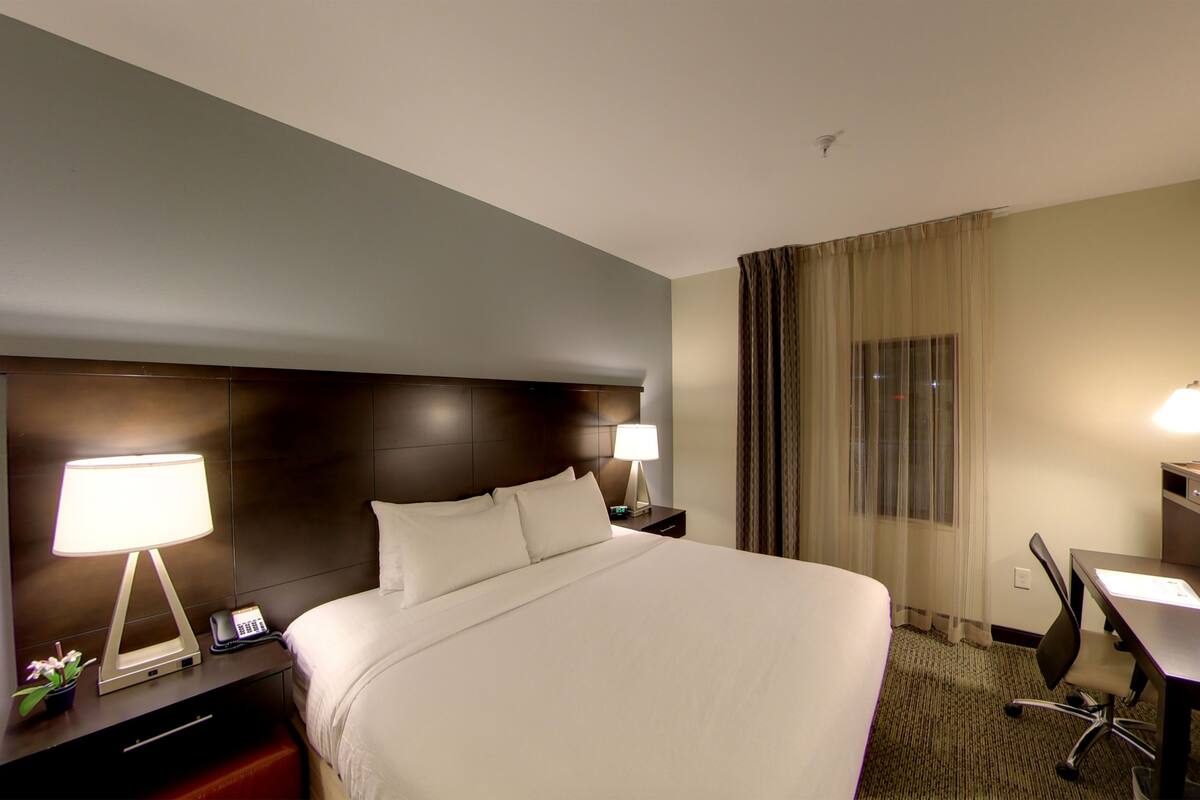 Une chambre d’hôtel avec un grand lit, un bureau, une chaise, une lampe, un téléphone et une petite plante.