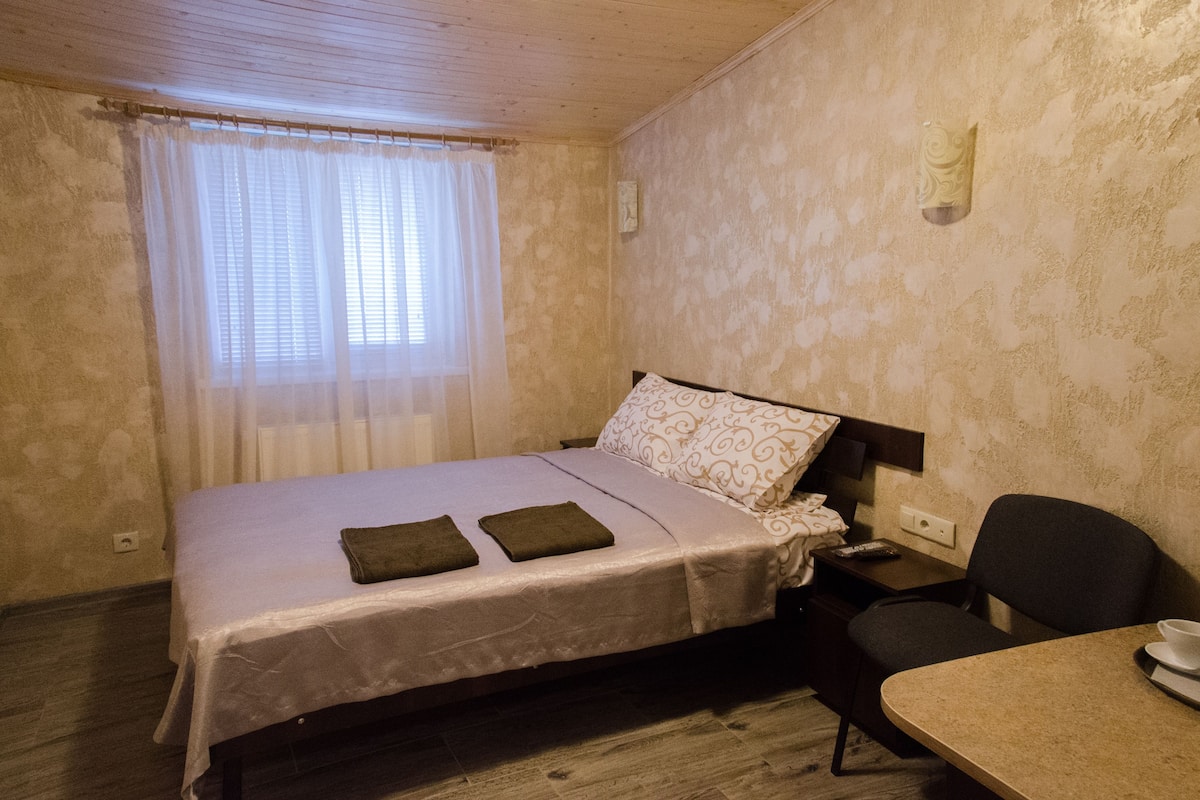 Chambre Double Standard | Chambres insonorisées, fer et planche à repasser