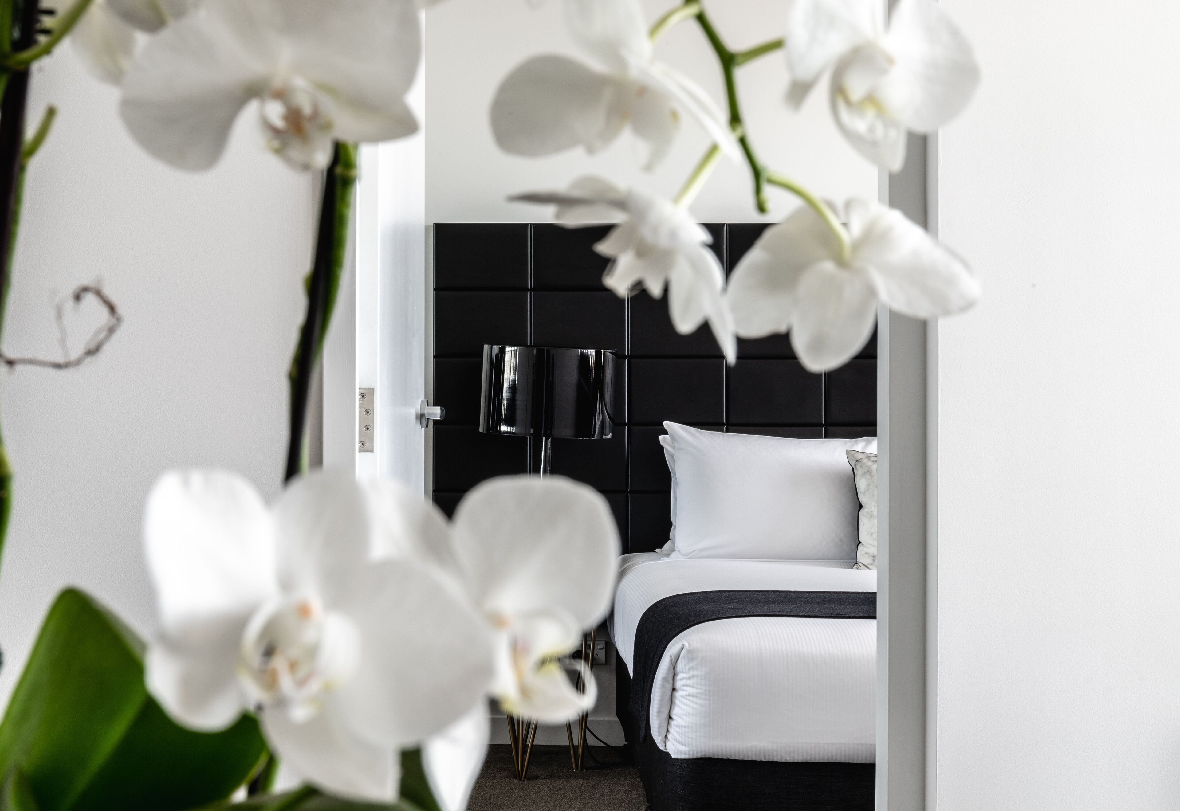 Chambres insonorisées, fer et planche à repasser, Wi-Fi gratuit