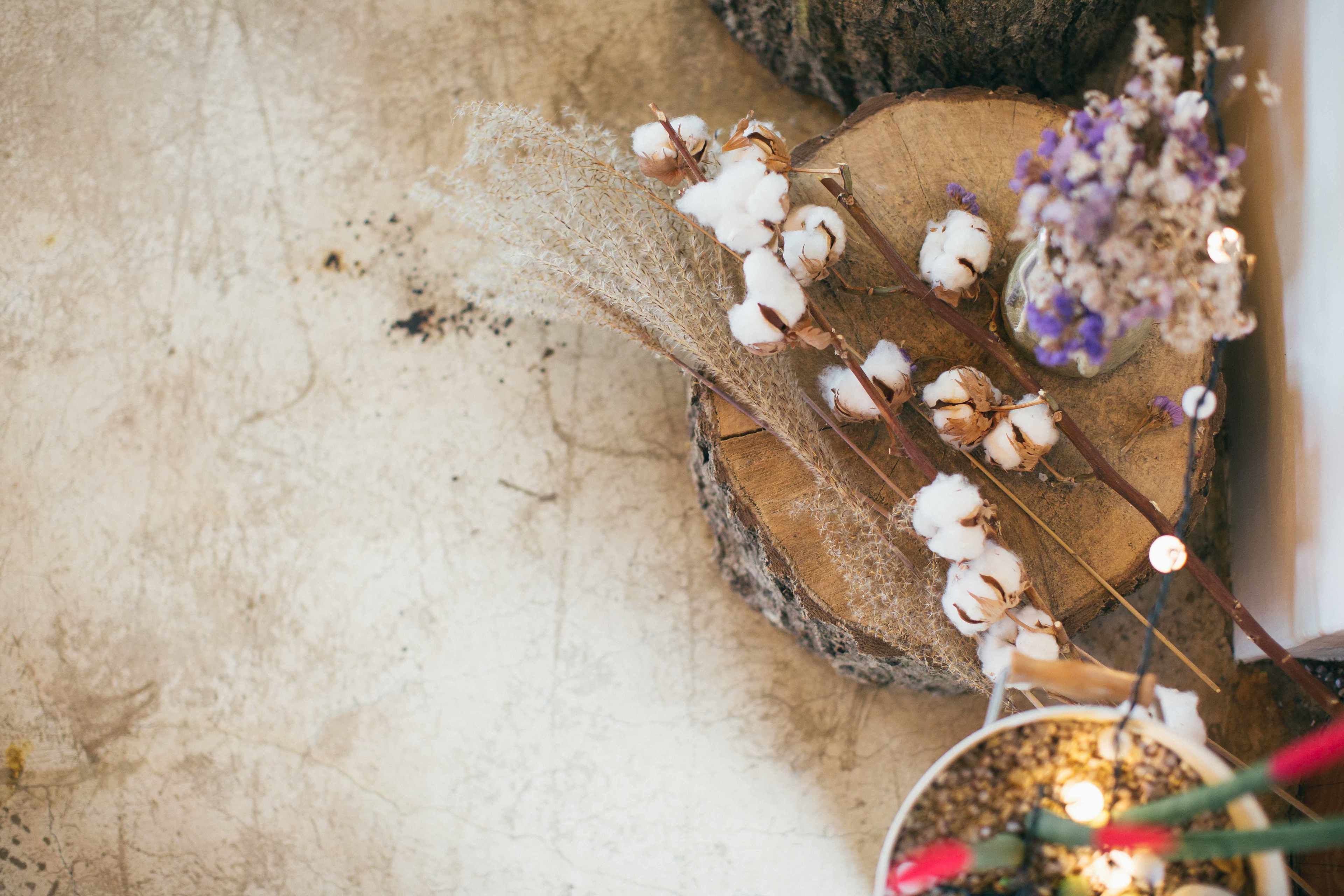 A rustic wooden surface with cotton plants and dried flowers.