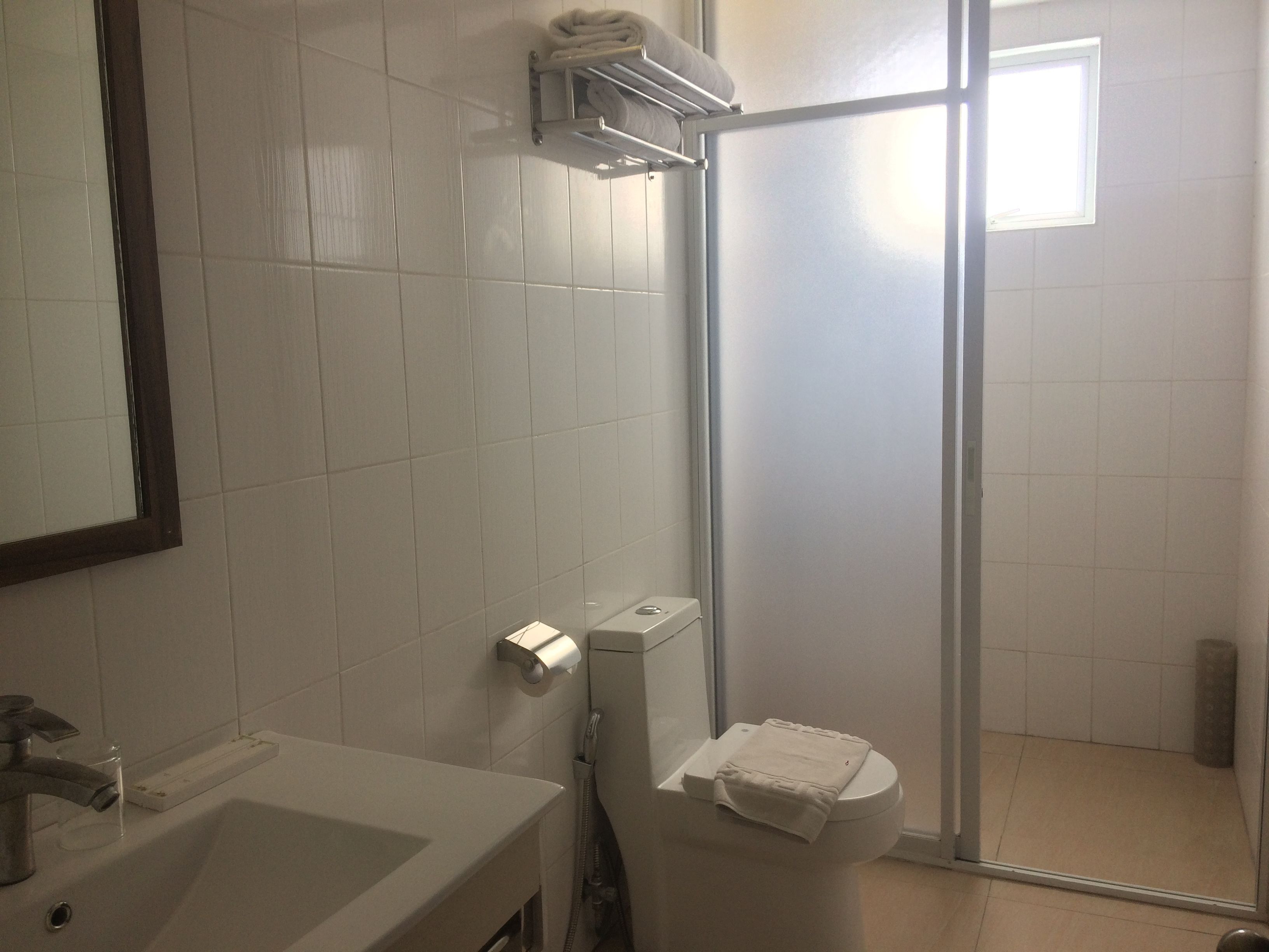 Un bany amb rentapisa, vàter i zona de dutxa.