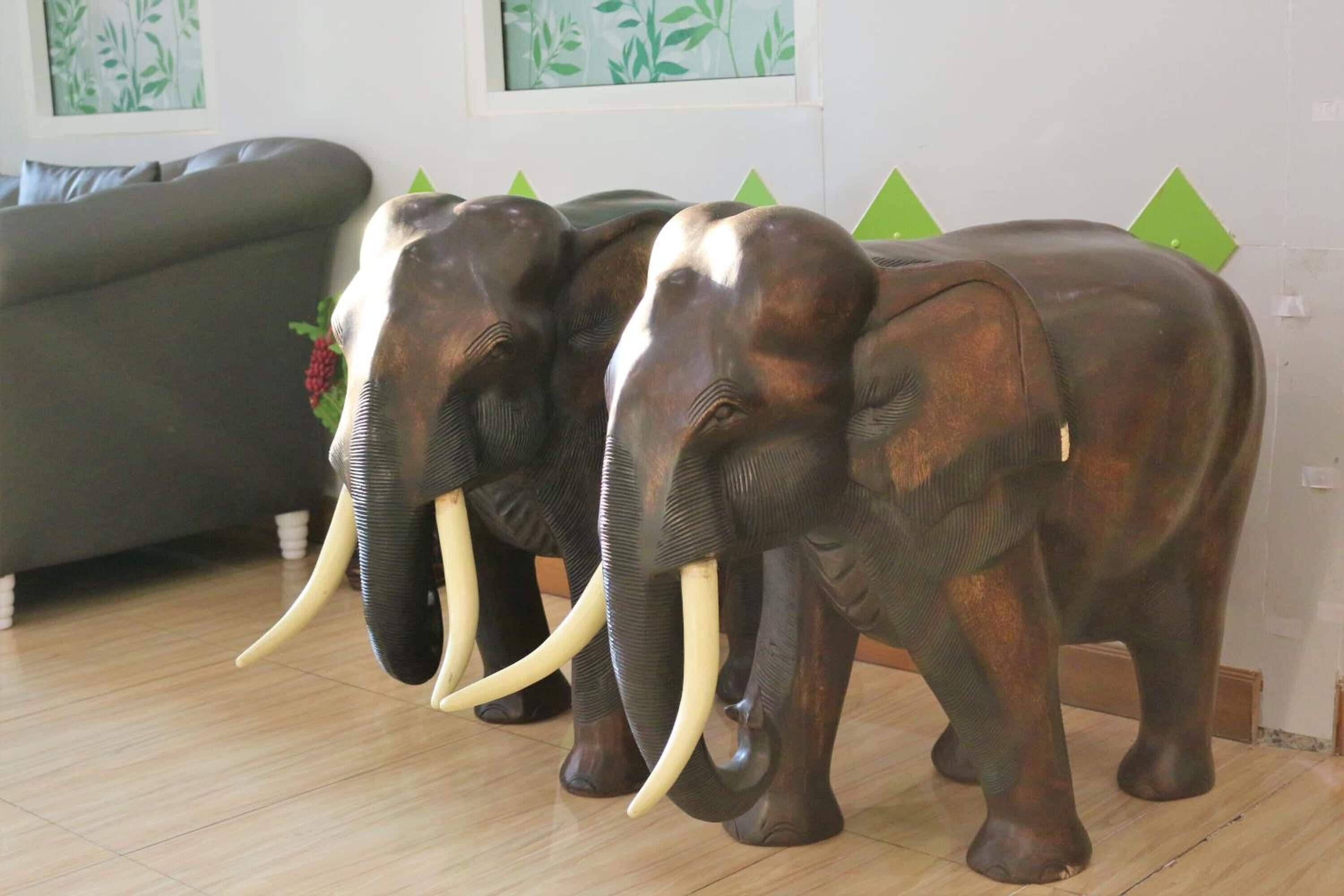 Photo - Lucky Green View