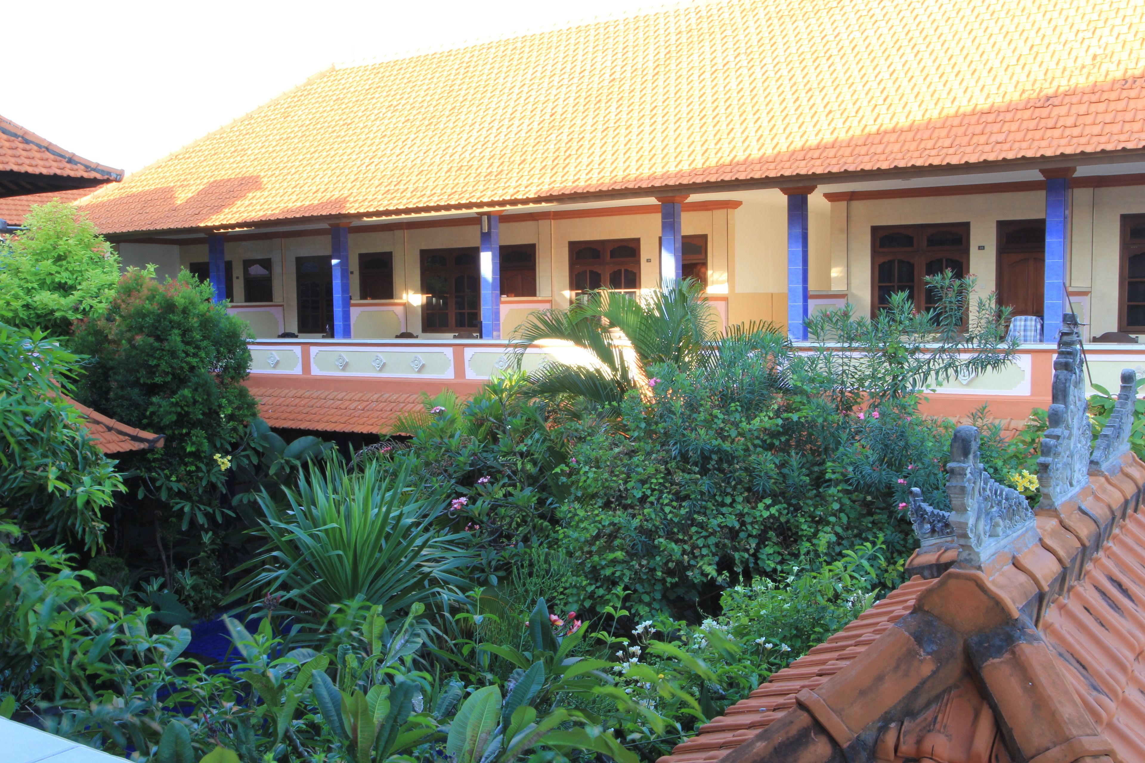 Foto - Losmen Cempaka 3