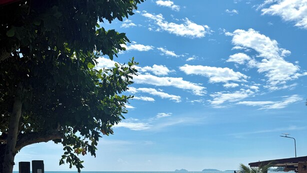 Ảnh chưa phân loại, 1 trong số 48 ảnh, nút