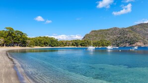 A beach with clear water, boats, and a forested hill. - Hotel Isaba (Numazu)