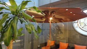 A modern interior with a glass partition, orange seating, and a large plant.