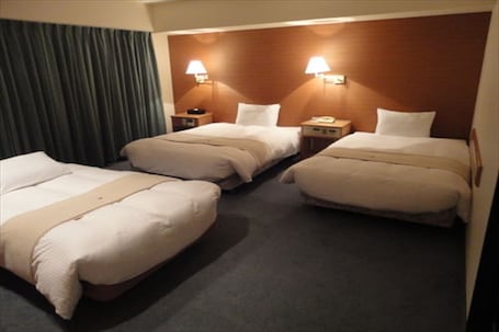 Down comforters, desk, iron/ironing board, free WiFi