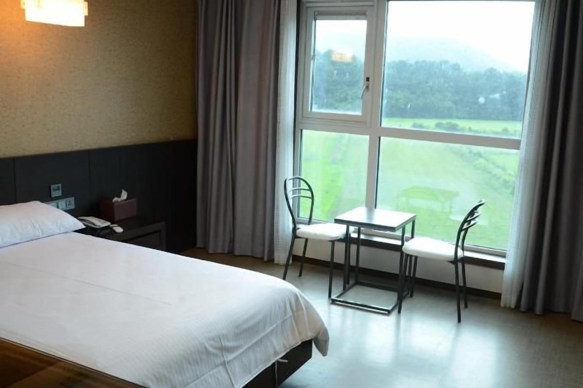 A hotel room with a bed, a small table, two chairs, a TV, and a window with a view of a green landscape.