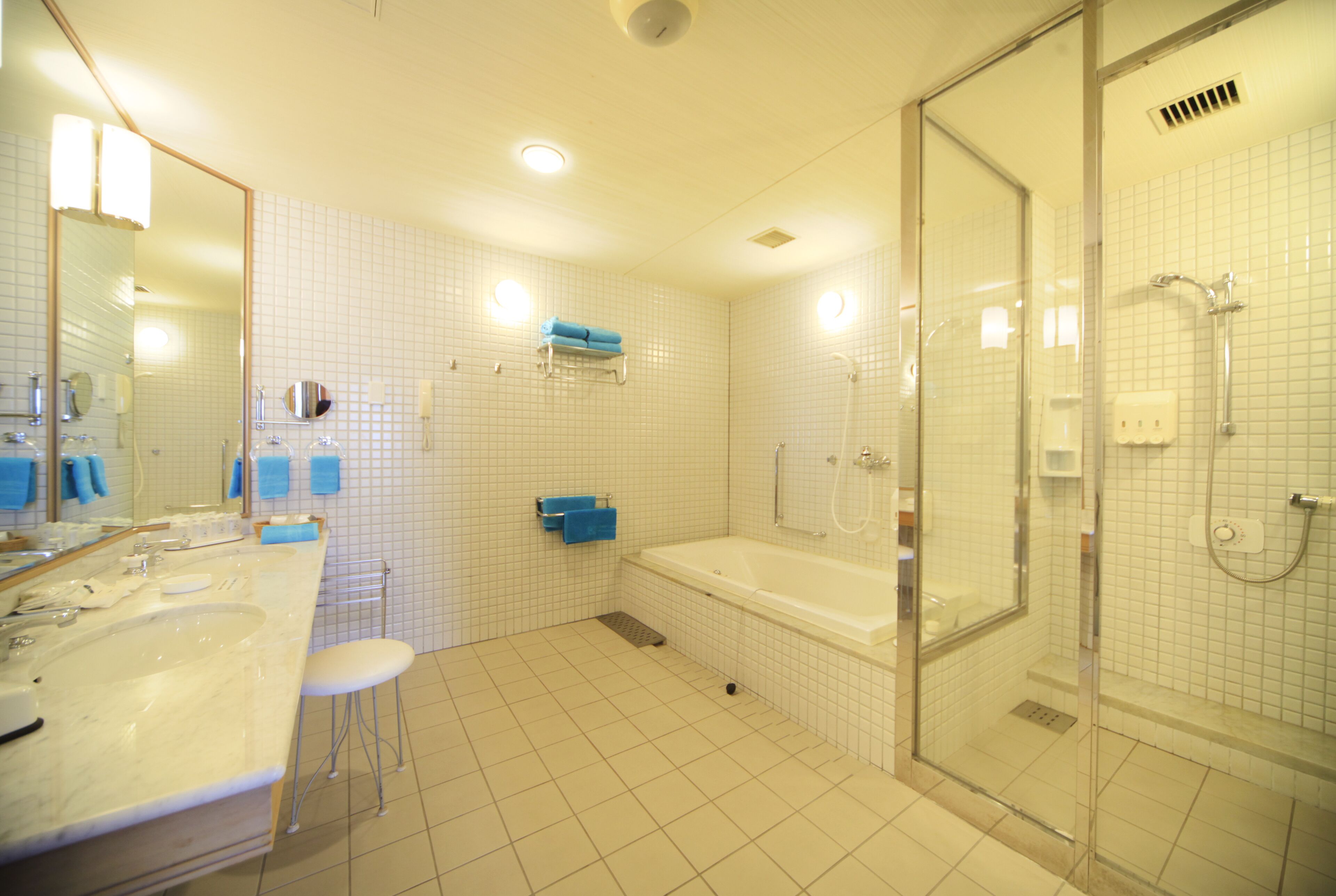 separate bathtub and shower, free toiletries, hair dryer, slippers