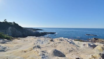 Vista desde la propiedad