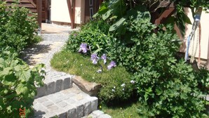 Eine Steintreppe führt zu einer Holztür, umgeben von üppiger Vegetation und violetten Blumen.