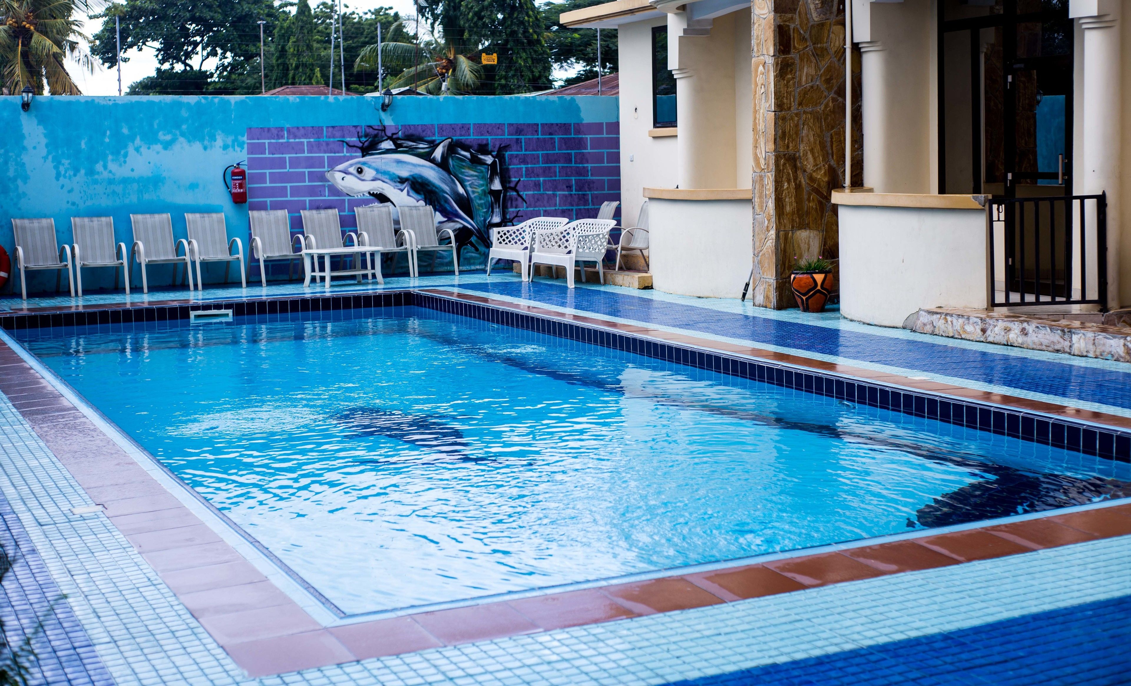 Outdoor pool, pool loungers