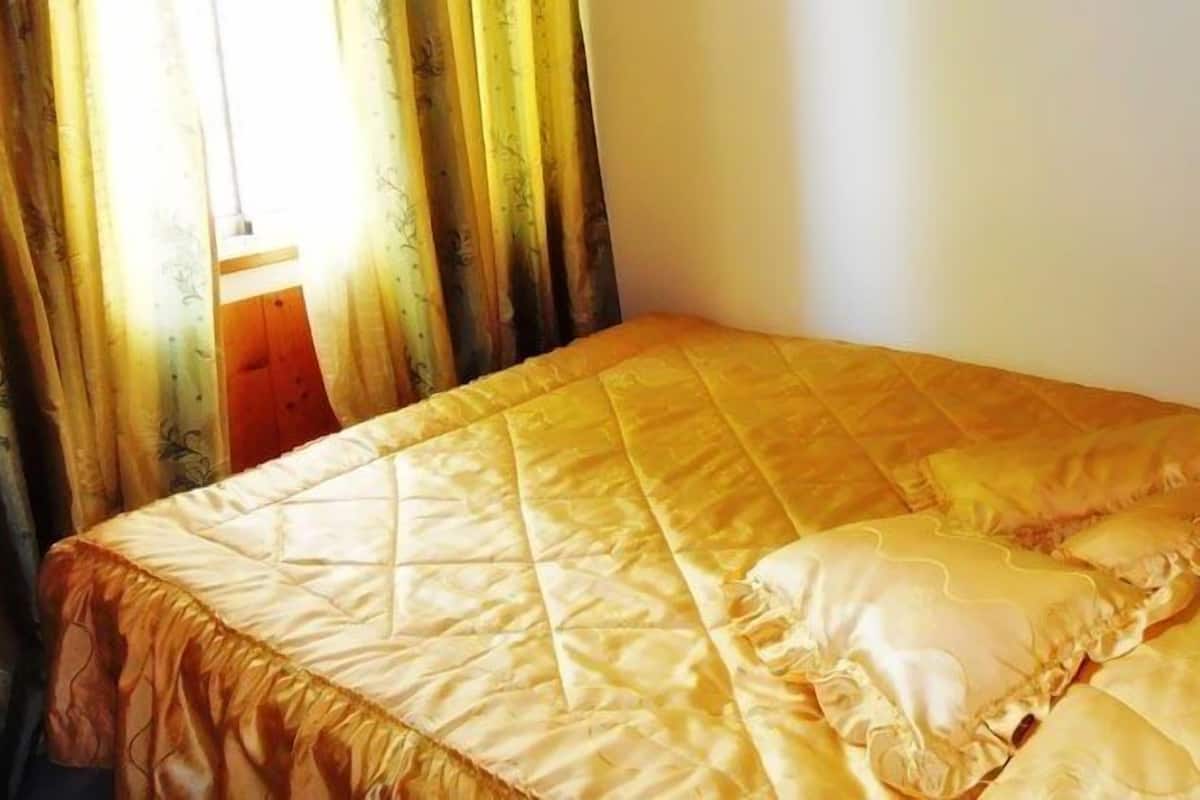 Iron/ironing board, free cribs/infant beds, rollaway beds, free WiFi