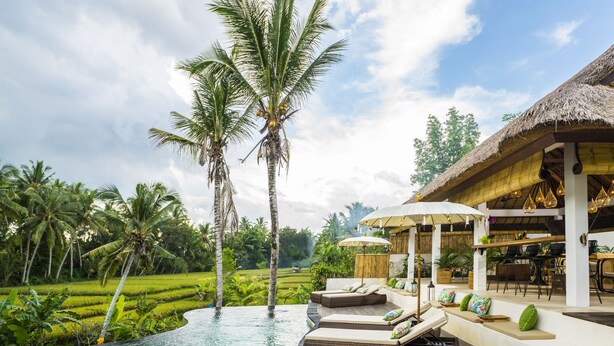 A poolside area with lounge chairs and a thatched-roof structure, surrounded by lush greenery and palm trees. - Calma Ubud (Ubud)