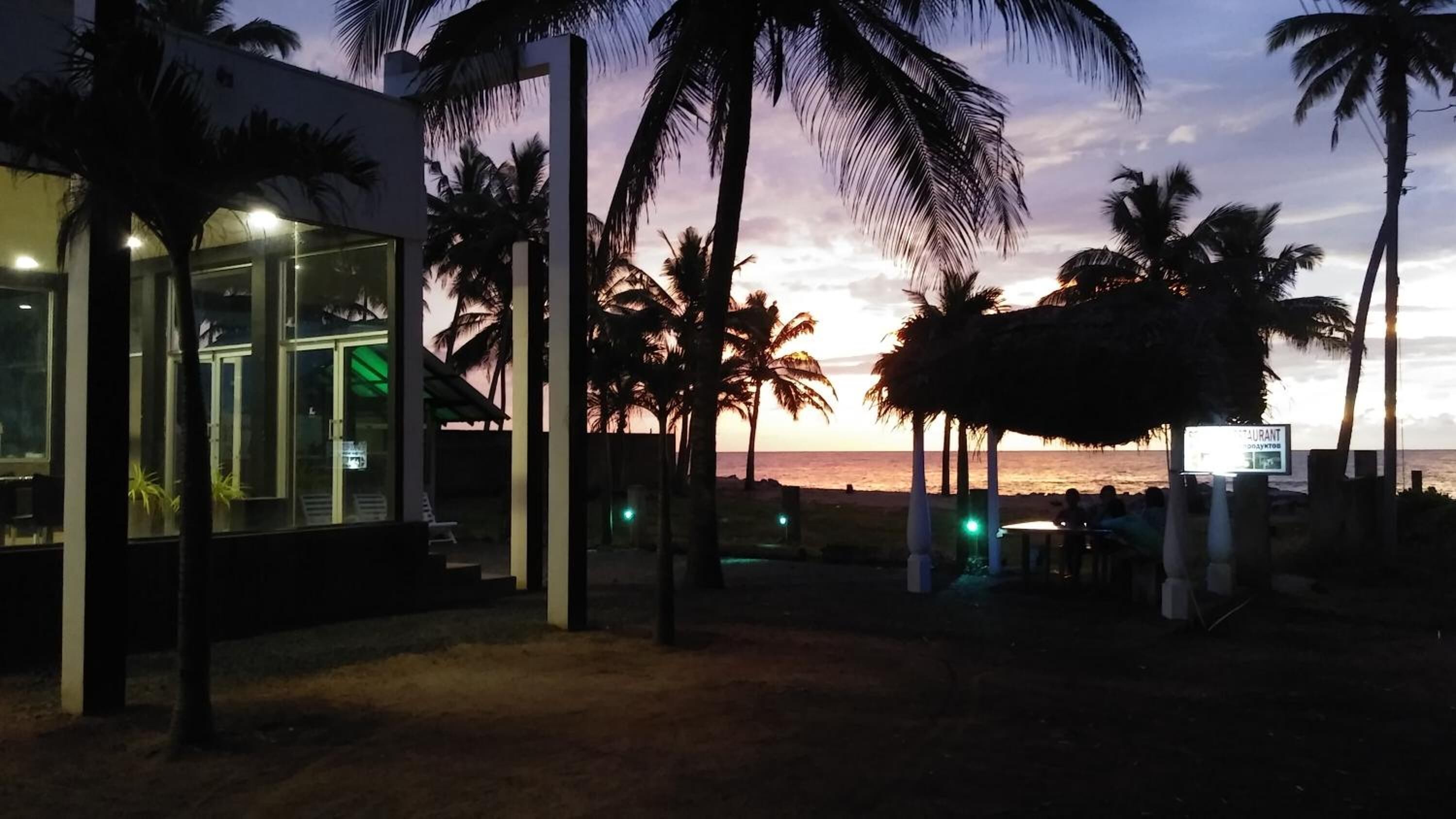 Una propiedad frente al mar con una estructura de cristal, palmeras y vistas al atardecer.