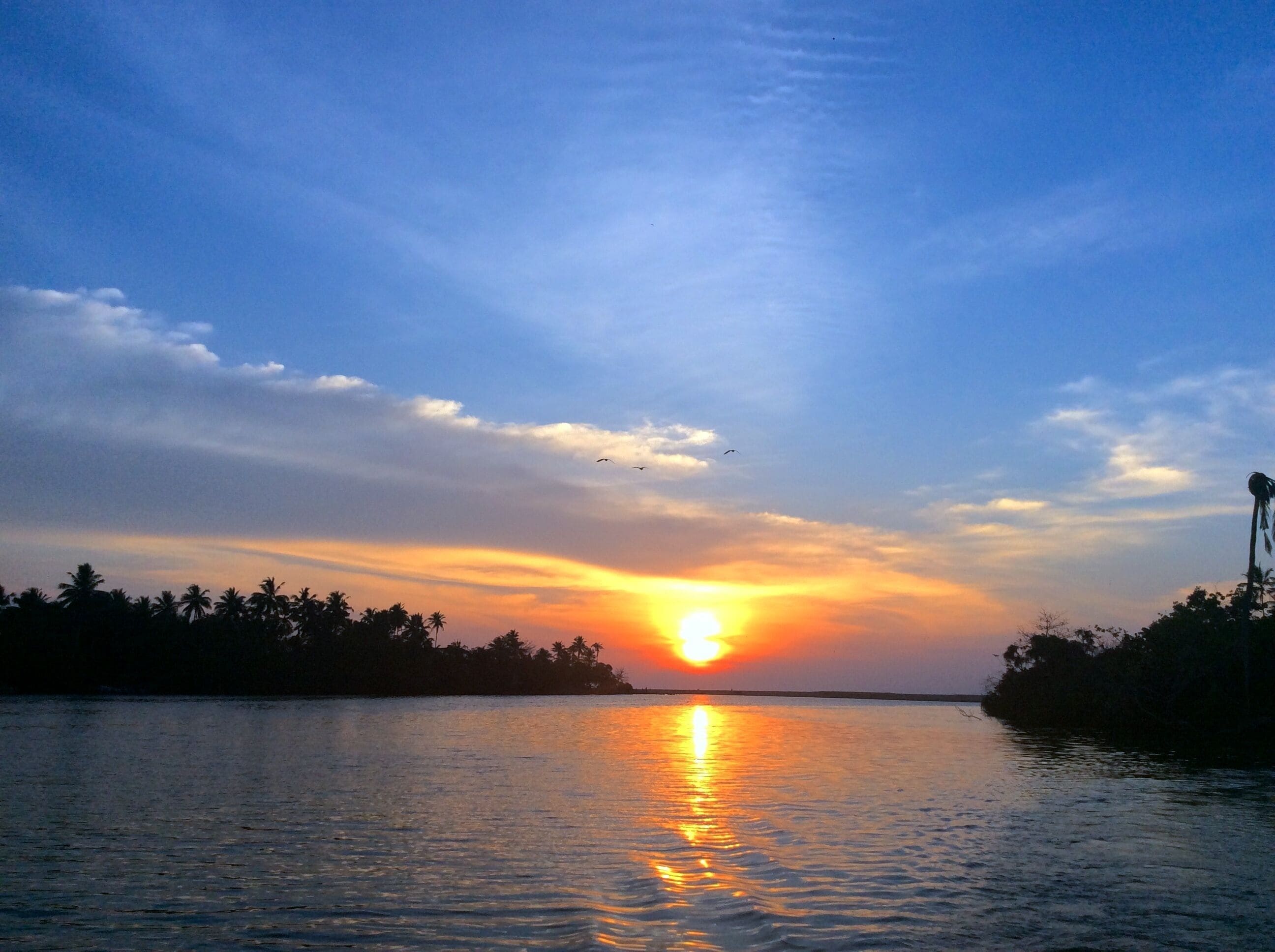 Photo - Waterland
