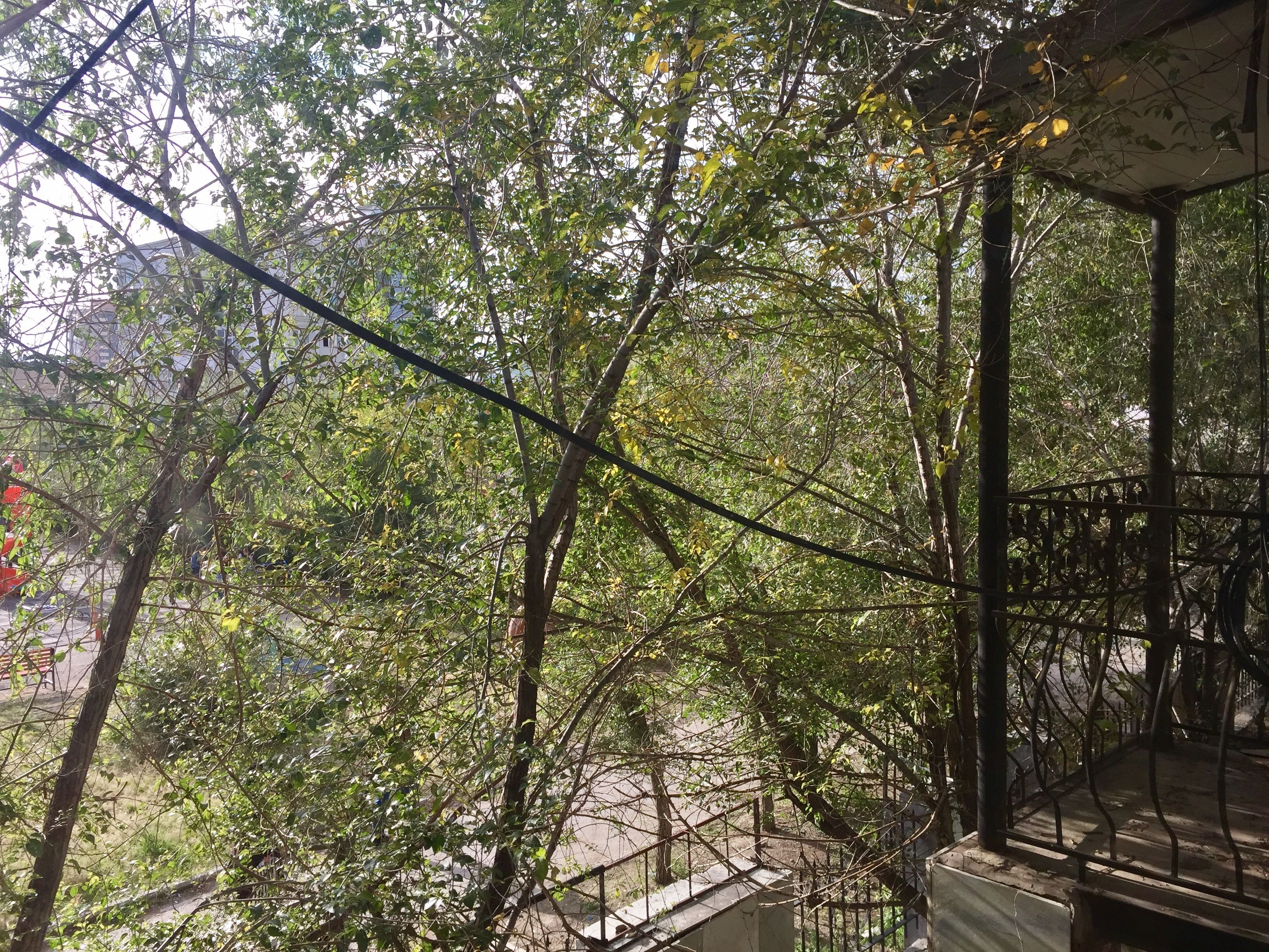 Blick auf den Garten