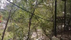 Blick von einem Balkon mit Metallgeländer auf eine dichte Baumlandschaft und eine Straße.
