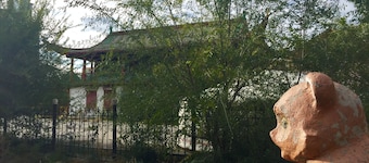 Travel Mongolia Guesthouse