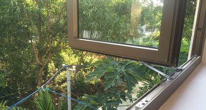 Tra Que Riverside Homestay