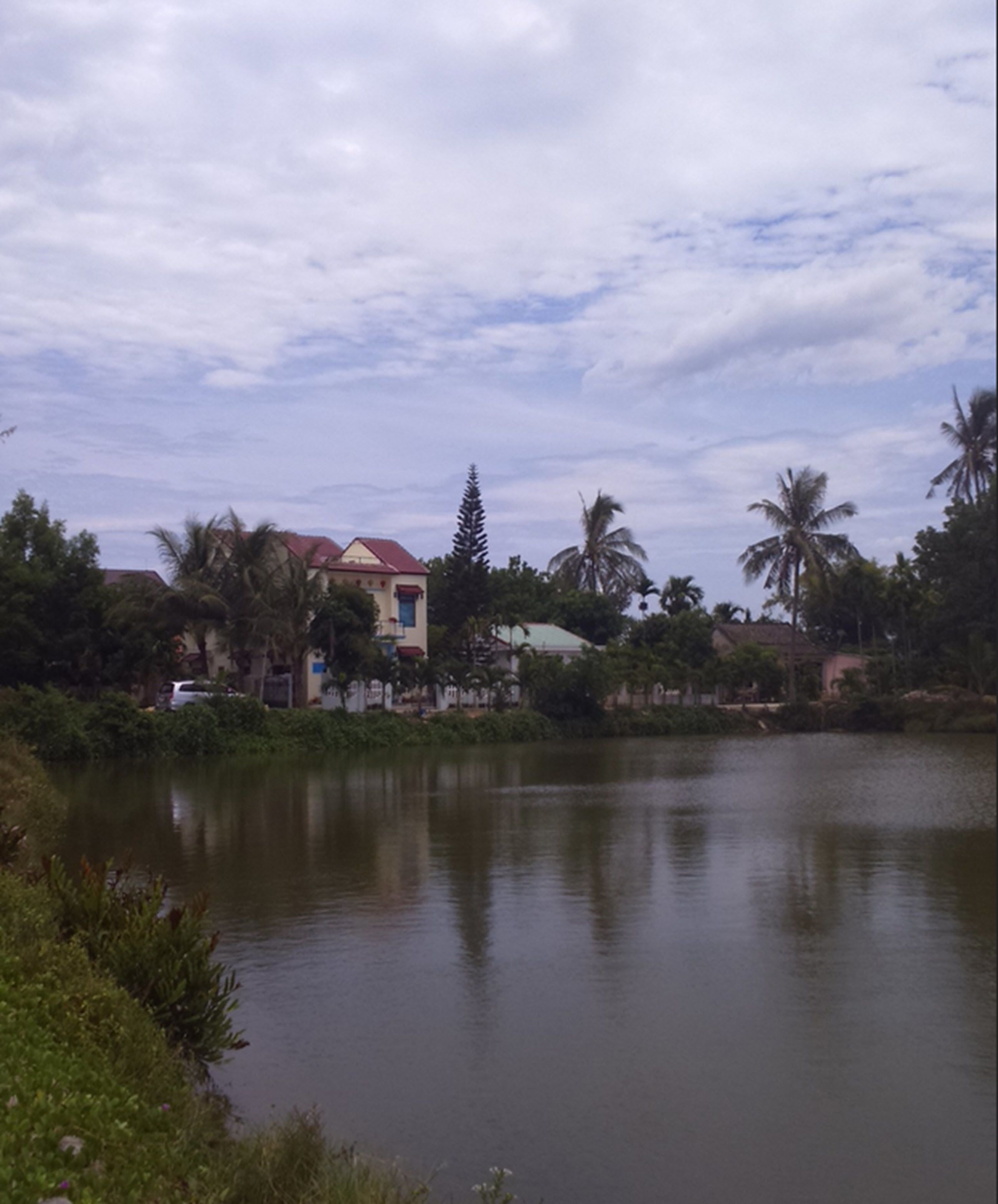 Un lago tranquilo con una casa y palmeras al fondo.