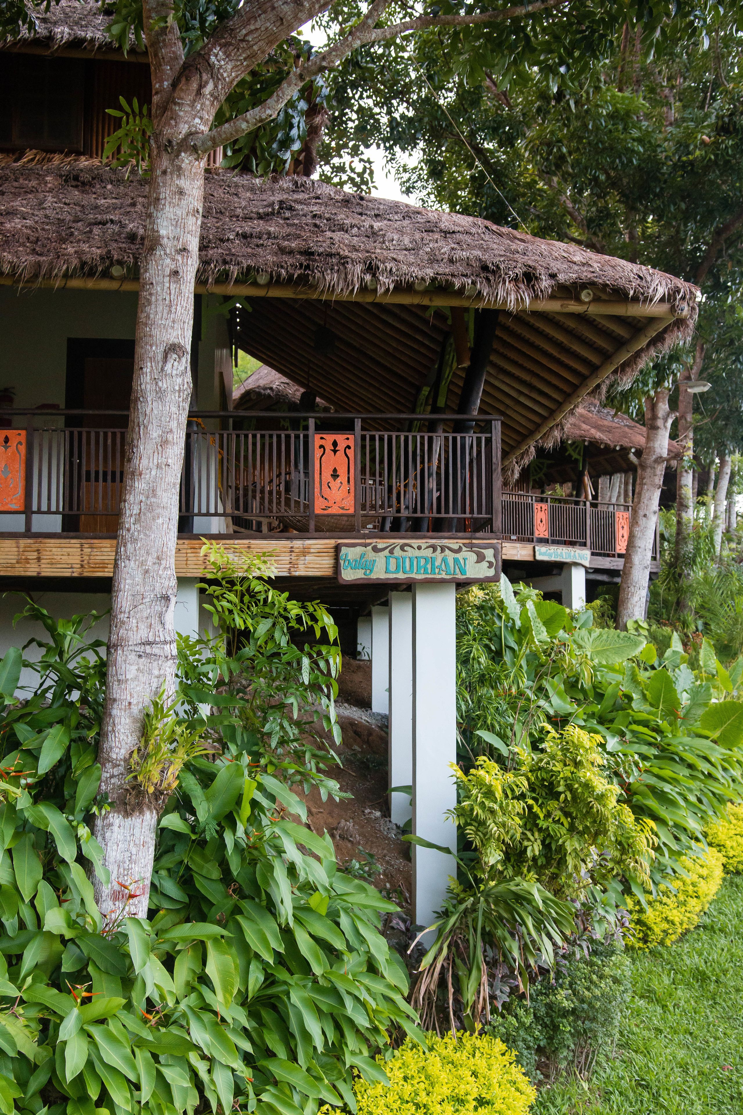 A thatched-roof building with a sign reading "Bali Durian."