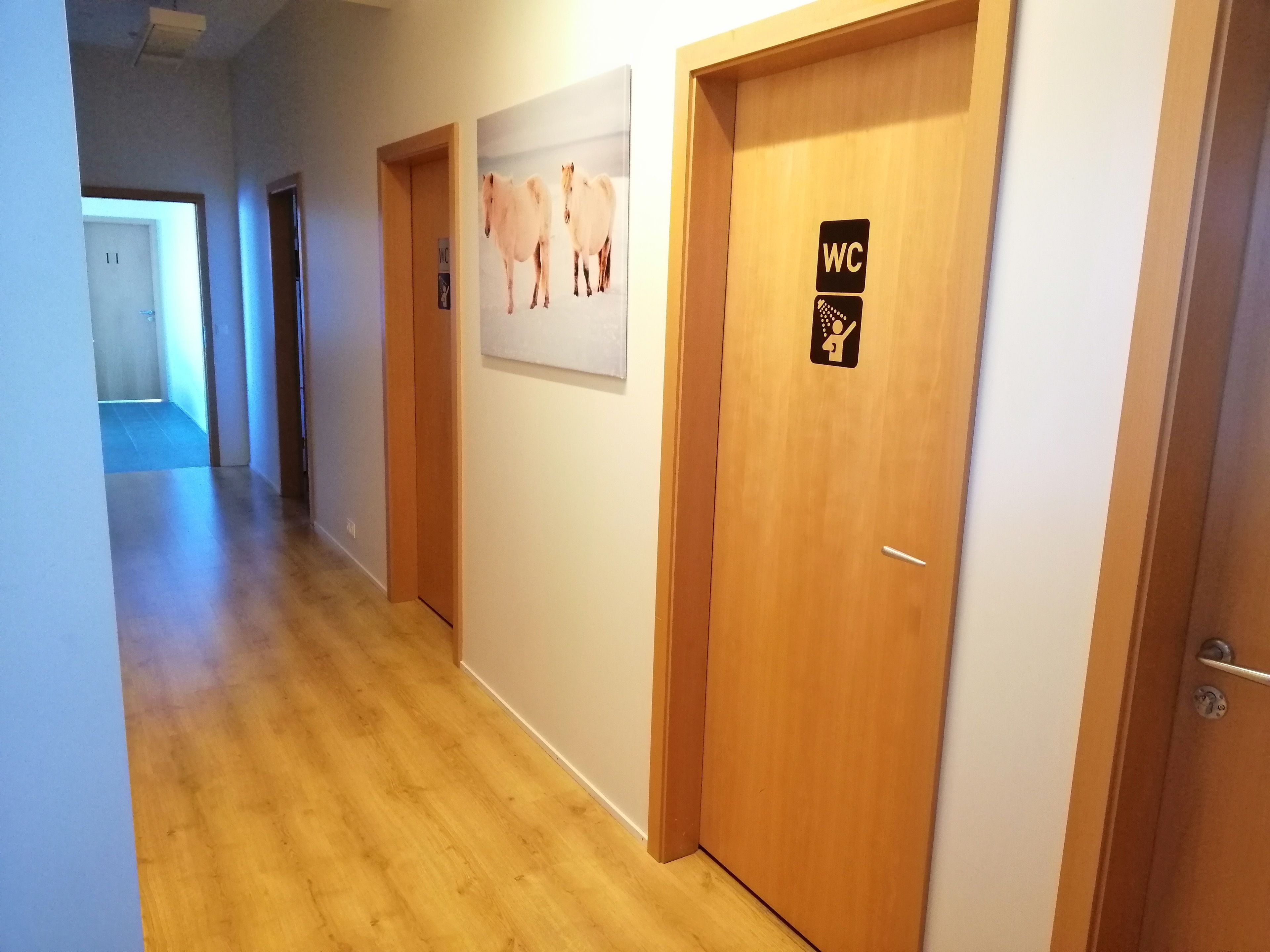 Un pasillo con puertas de madera, una de ellas con el símbolo de baño.