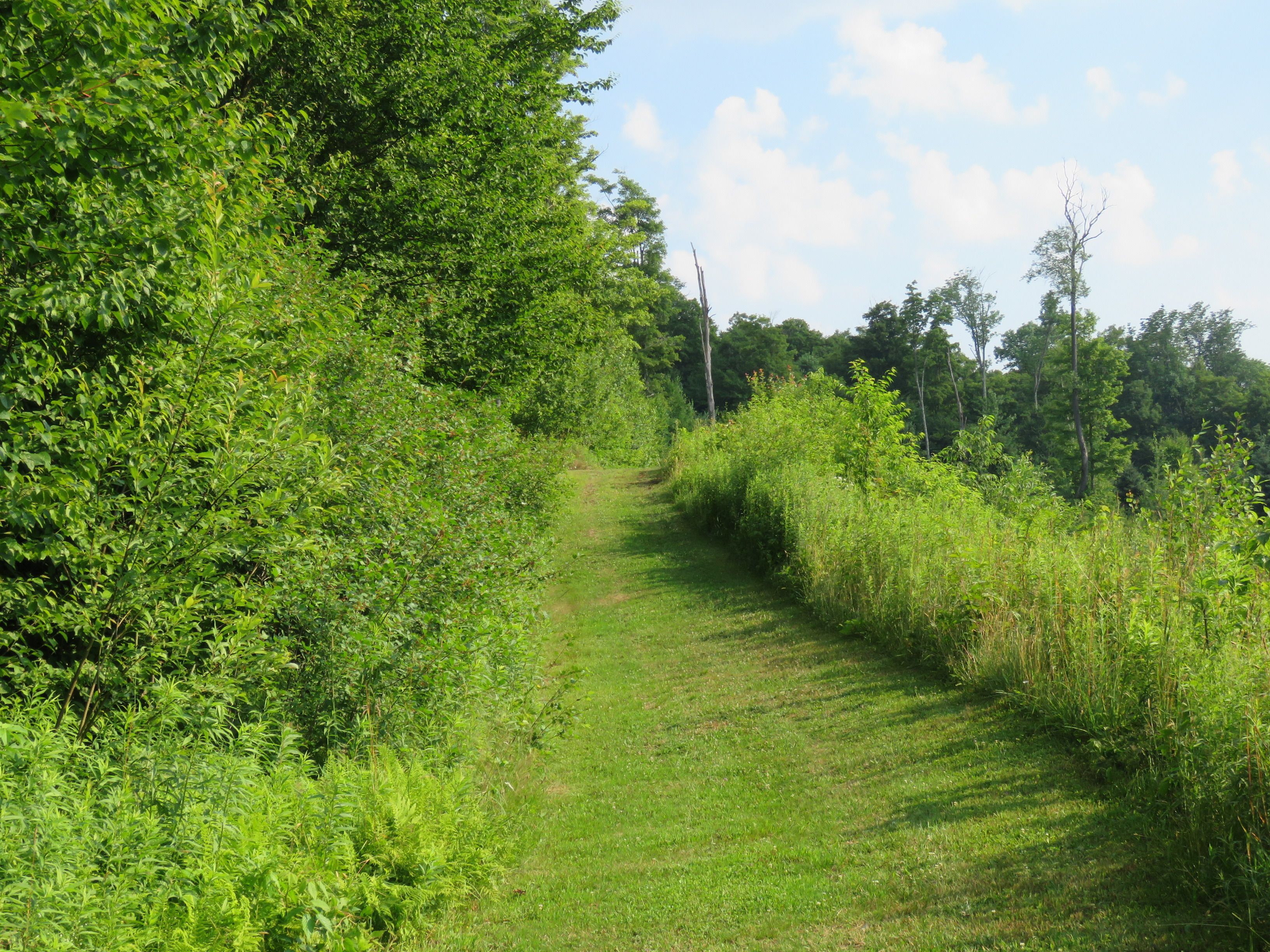 Photo - Tug Hill Resort