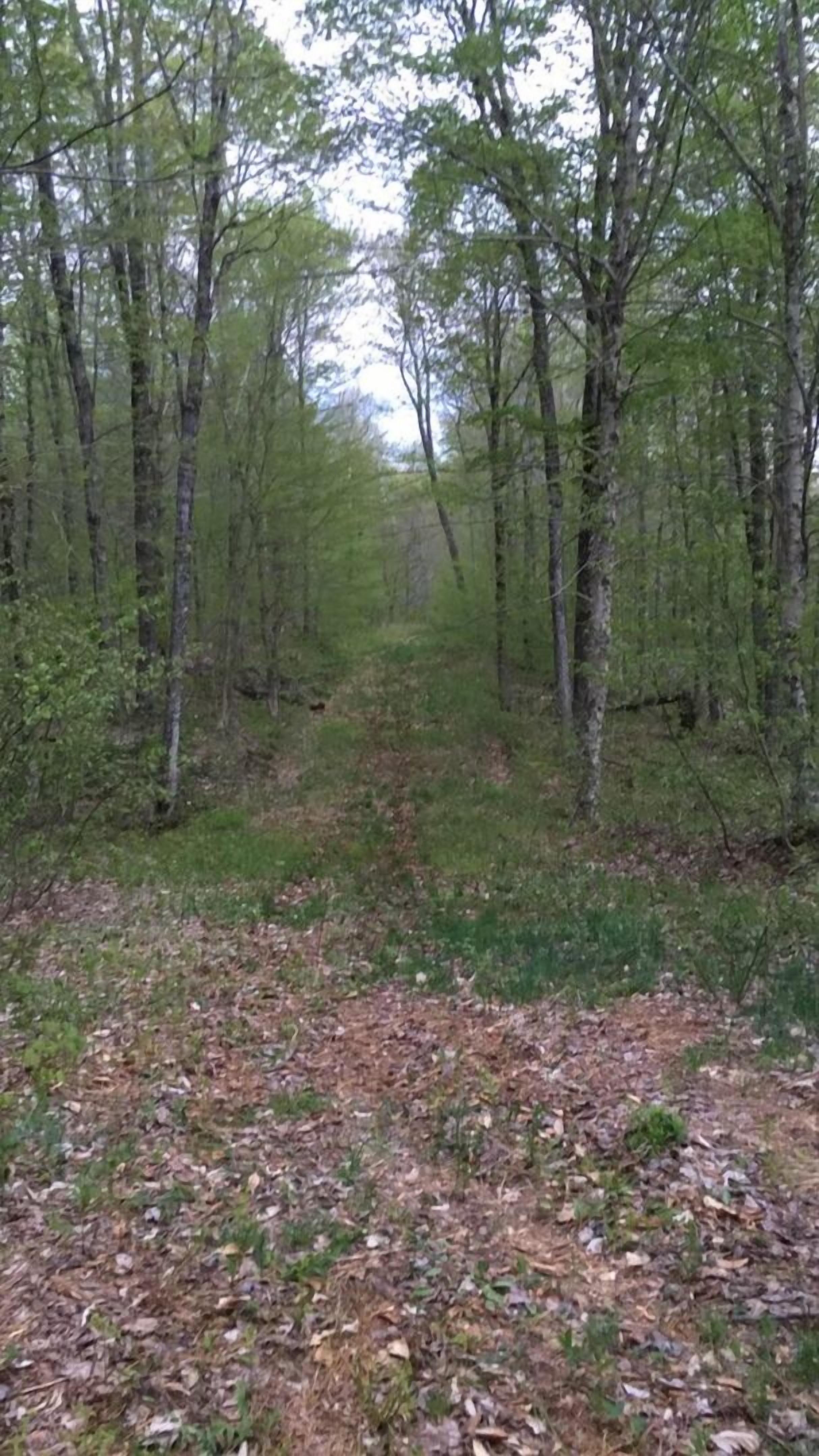 Photo - Tug Hill Resort