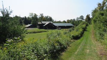Terrain de l’hébergement