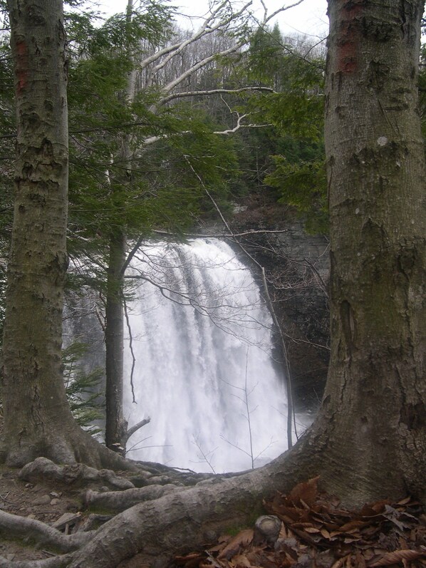 A waterfall surrounded by trees.