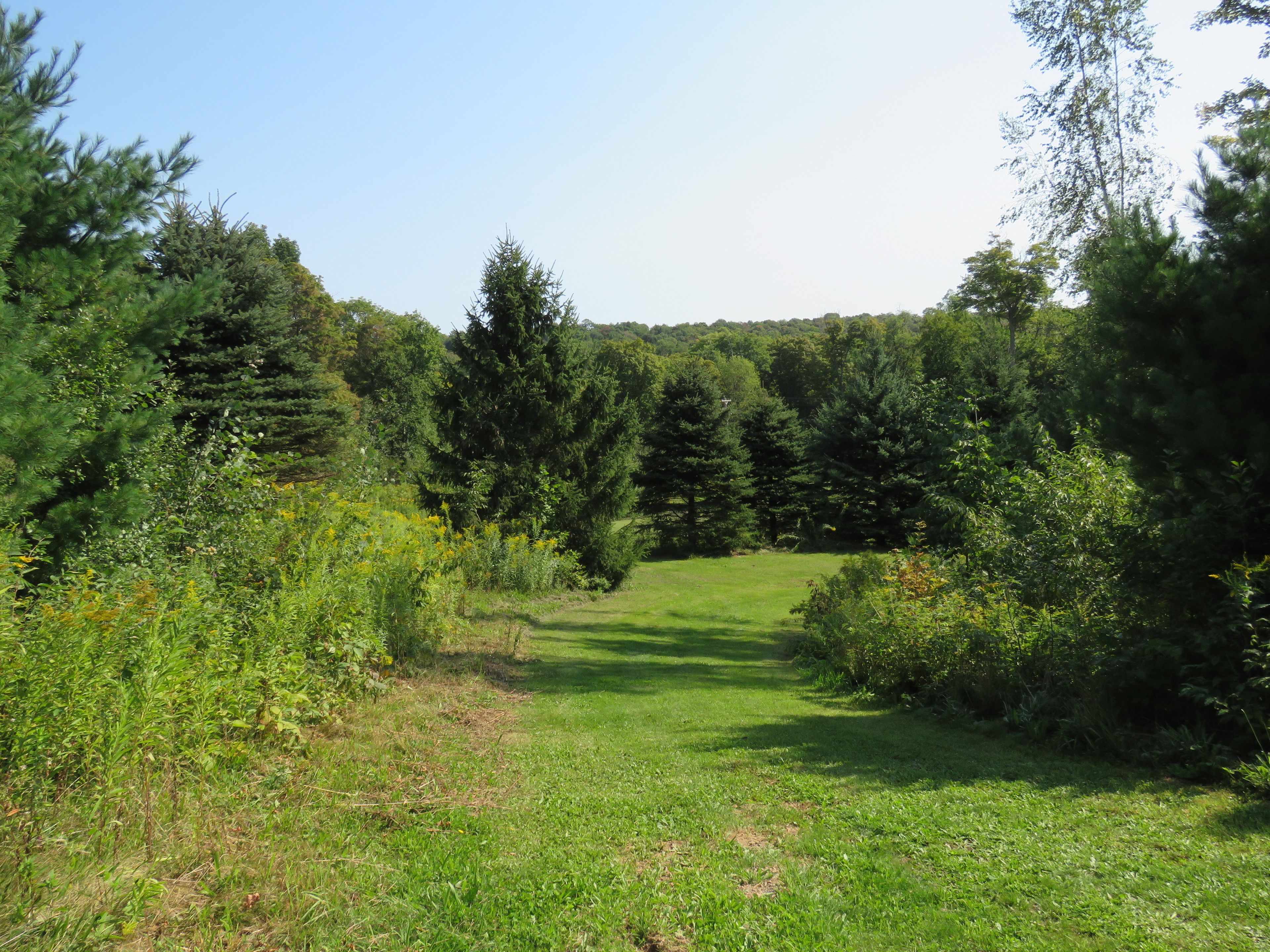 Foto - Tug Hill Resort