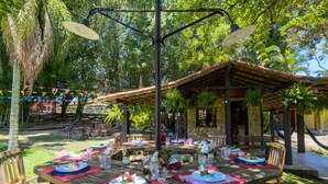 Un espacio al aire libre con mesas dispuestas para una comida, rodeado de exuberante vegetación y una pérgola de madera.