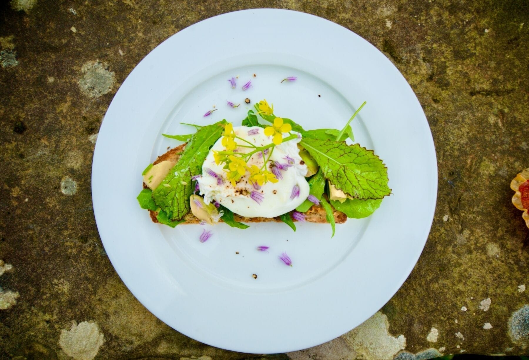 Un plato blanco con un guiso de verduras, berenjena pochada y una cucharada de salsa blanca, sobre una superficie de piedra con textura.