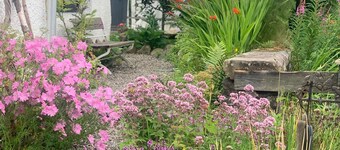 Wester Auchraw Croft B&B