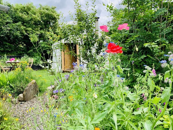 Exterior - Wester Auchraw Croft B&B (Lochearnhead)