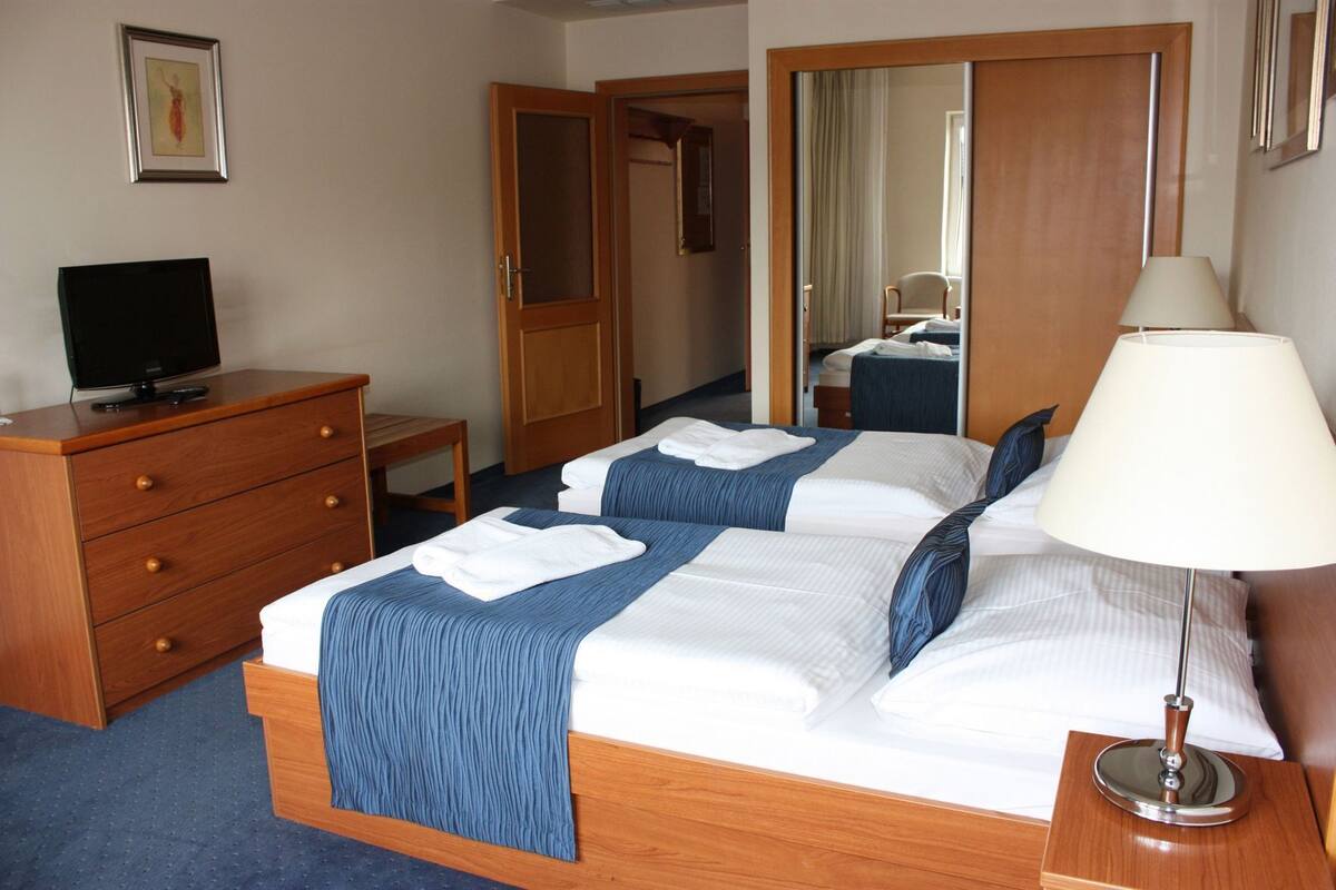 A hotel room with two beds, a dresser, a television, a mirror, and a lamp.