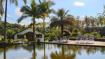 Piscina externa, piscina natural, guarda-sóis, espreguiçadeiras