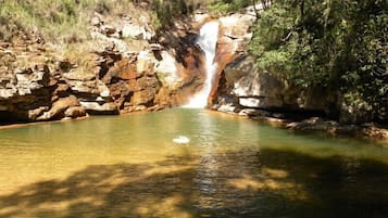 Natural pool