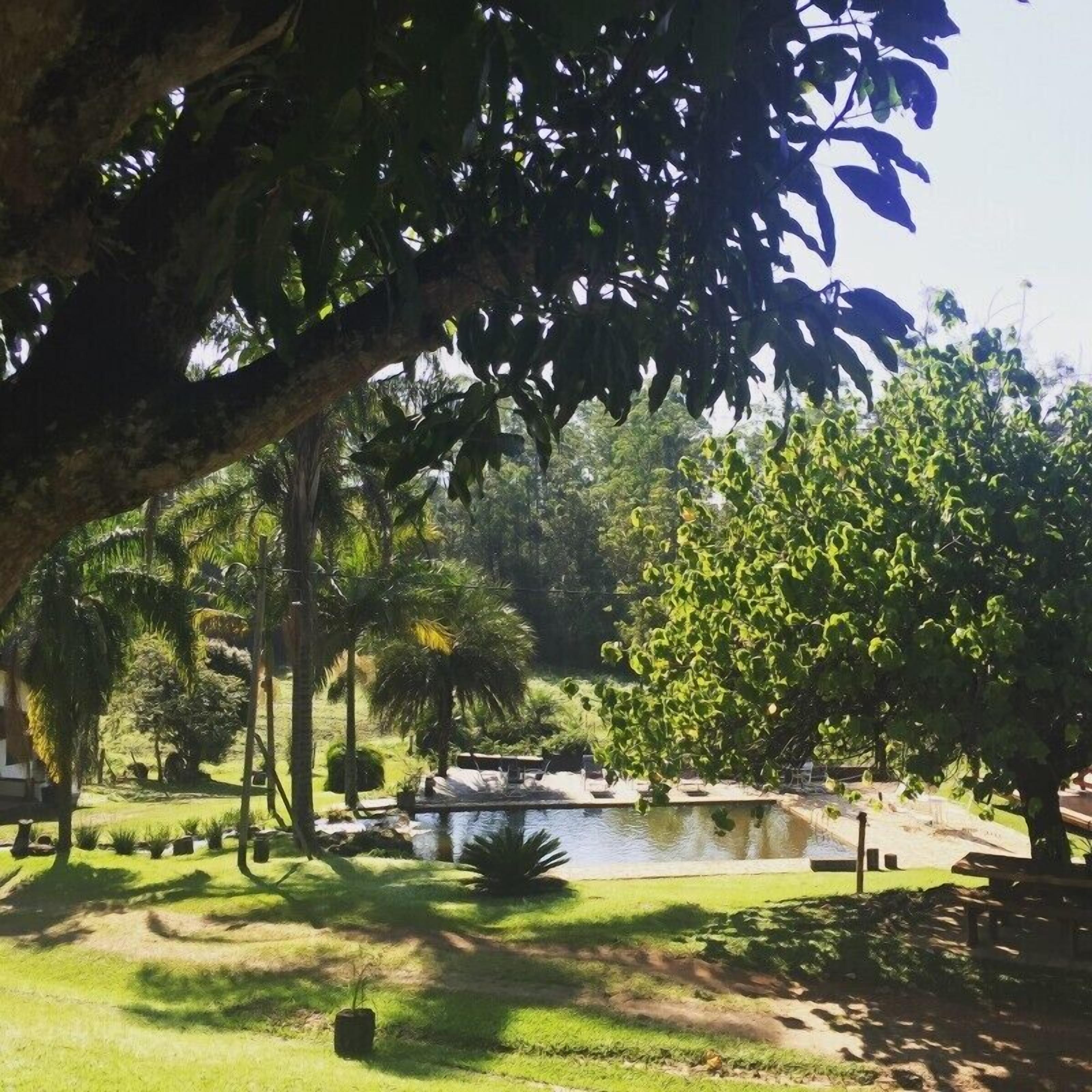 Área da propriedade