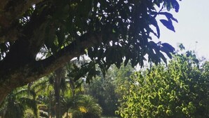 บริเวณที่พัก