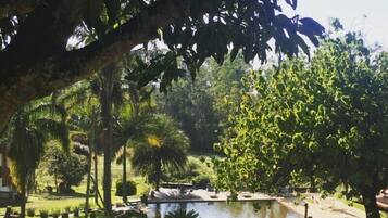 Área da propriedade