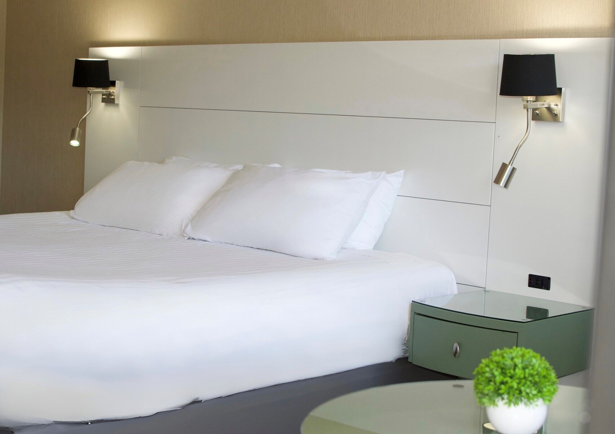 A modern hotel room with a large bed, two bedside lamps, a green nightstand, and a small potted plant.