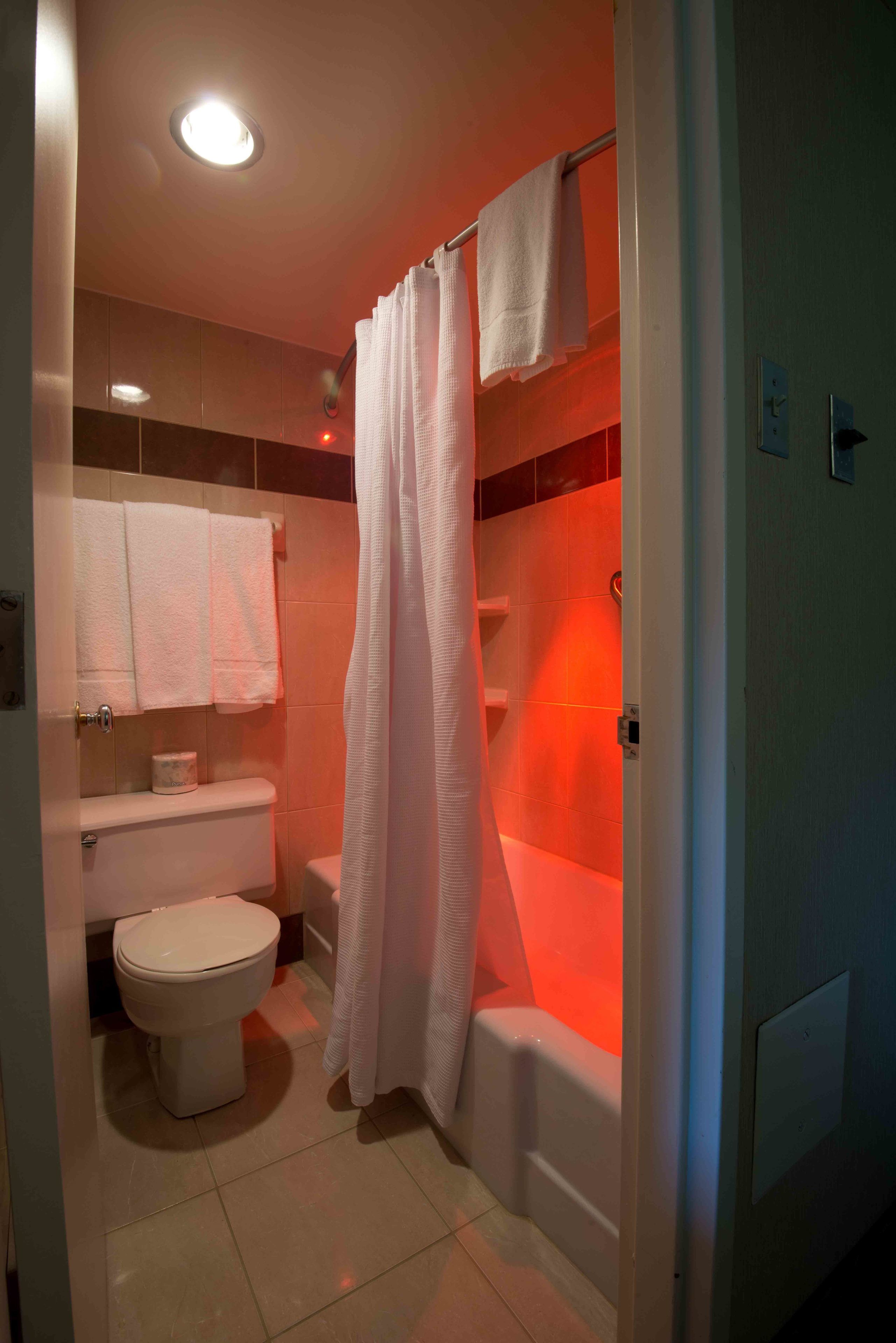 combined shower/bathtub, free toiletries, hair dryer, towels