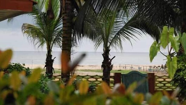 A beach view with palm trees and a fence in the foreground. - Résidence Saint-Jacques Bord de Mer (Pointe-Noire)