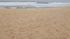 A beach with a wide sandy area and waves in the background. - Résidence Saint-Jacques Bord de Mer (Pointe-Noire)